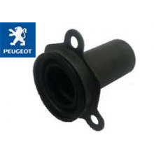 Retentor Caixa Cambio 206 307 1.6 16v - PEUGEOT