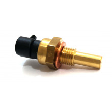 Sensor Temperatura S-10 2.4 2012 - MTE